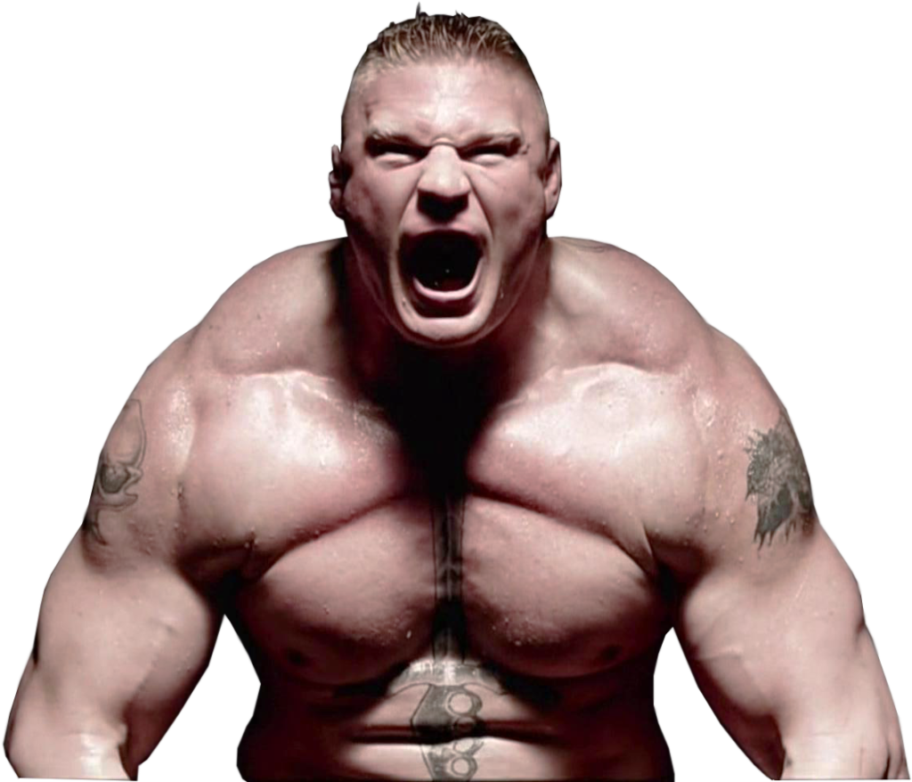 Brock Lesnar Attractive Pictures