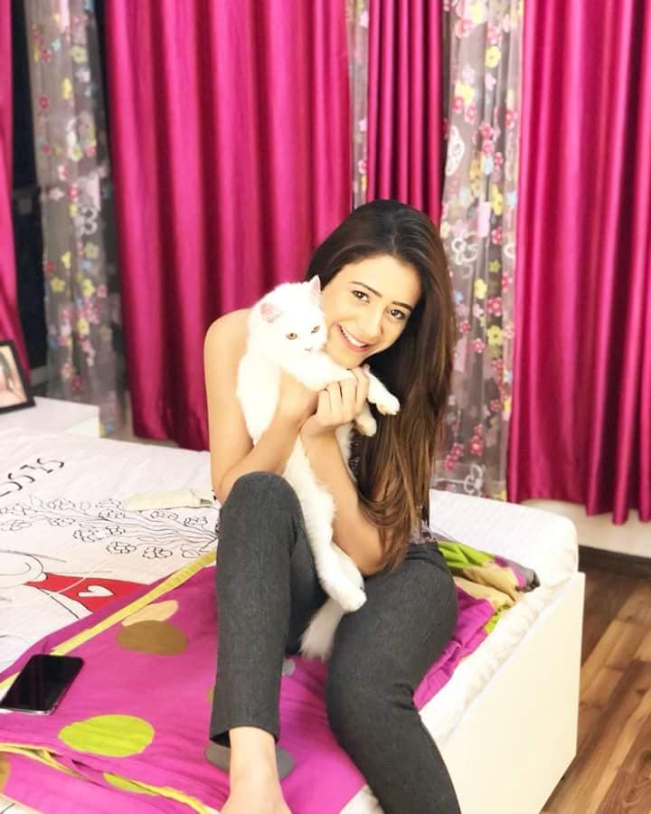 Hiba Nawab Hot Images With Cat