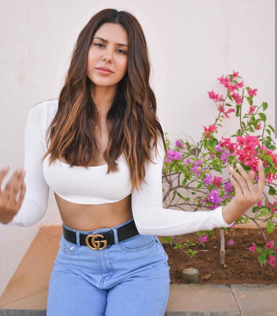 Sonam Bajwa Spicy Navel Photos In Jeans Top